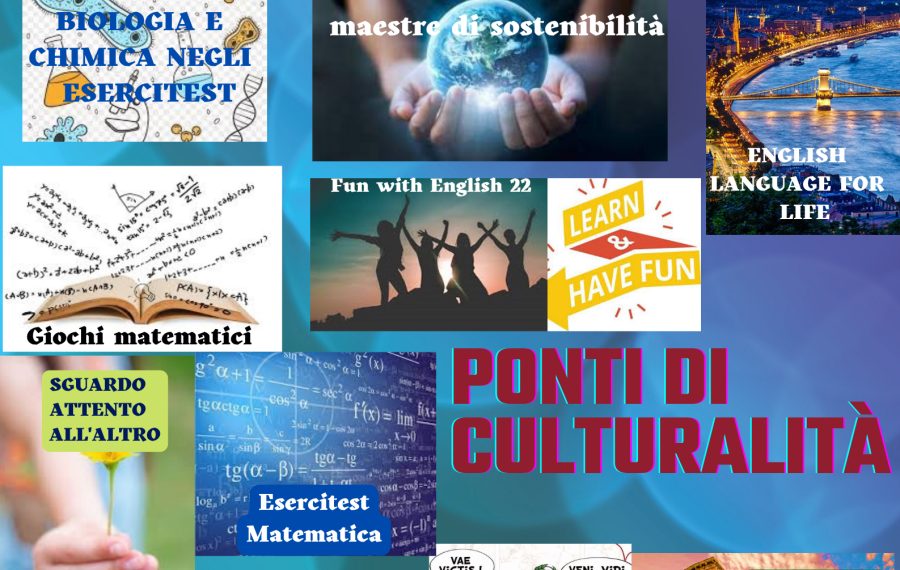 PONTI DI CULTURALITA'- azioni di integrazione e potenziamento delle aree disciplinari di base.